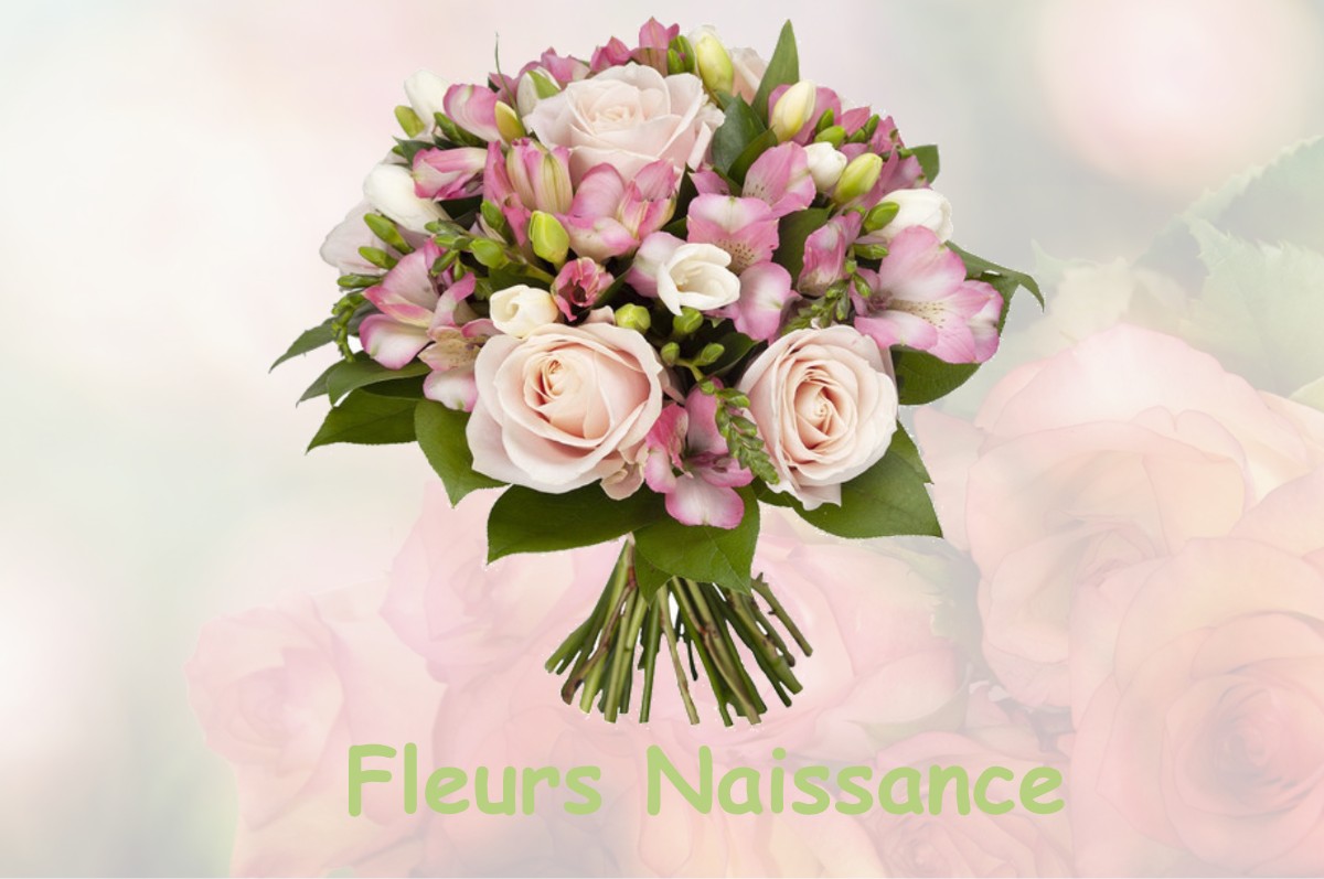 fleurs naissance LAVANS-LES-SAINT-CLAUDE